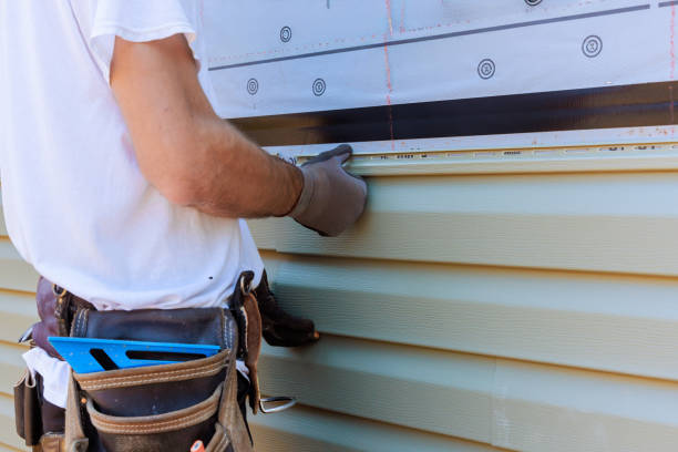 Affordable Vinyl Siding solutions in Chantilly, VA
